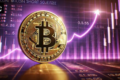 Bitcoin Short Squeeze: A Catapult to New All-Time High? Here’s Why It’s Possible