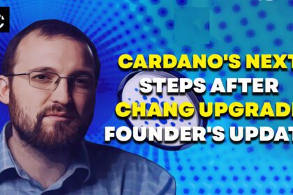 Cardano's Next Steps After the Chang Upgrade: Founder's Update